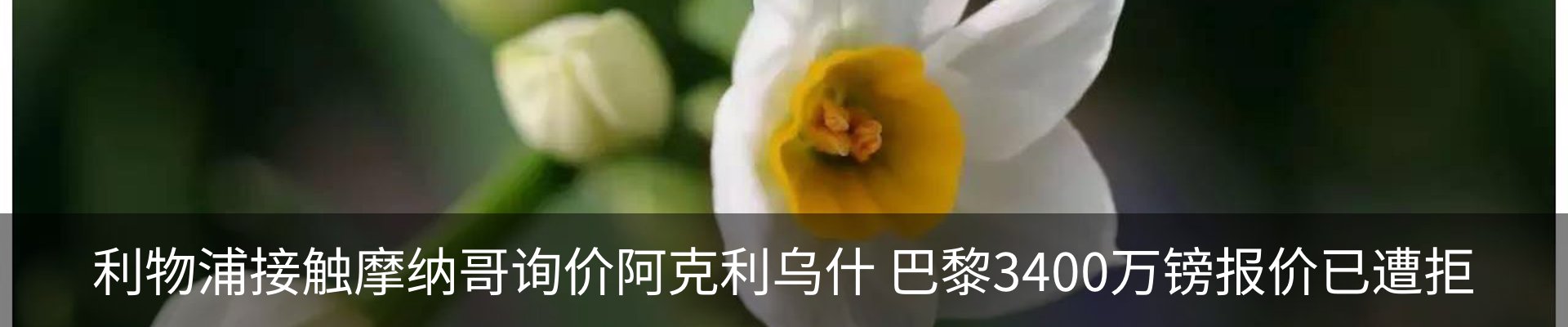 热点资讯