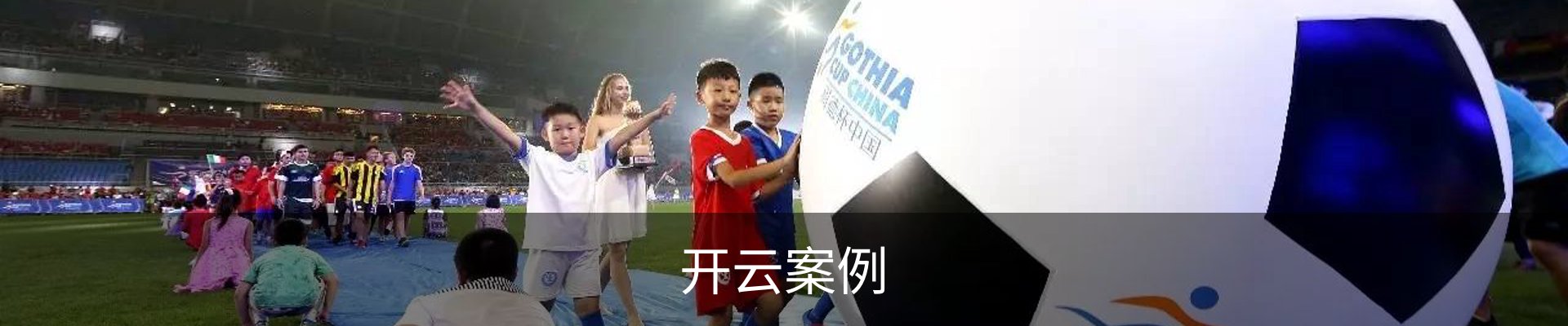 开云案例