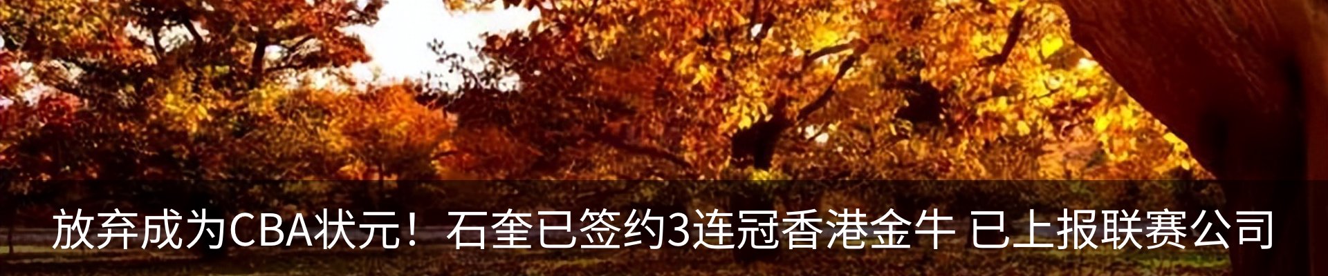 热点资讯