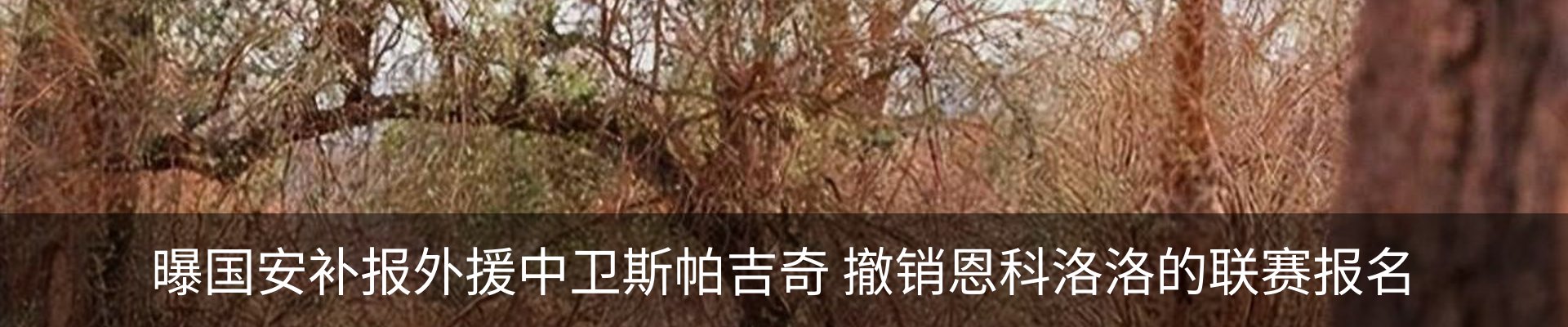 热点资讯